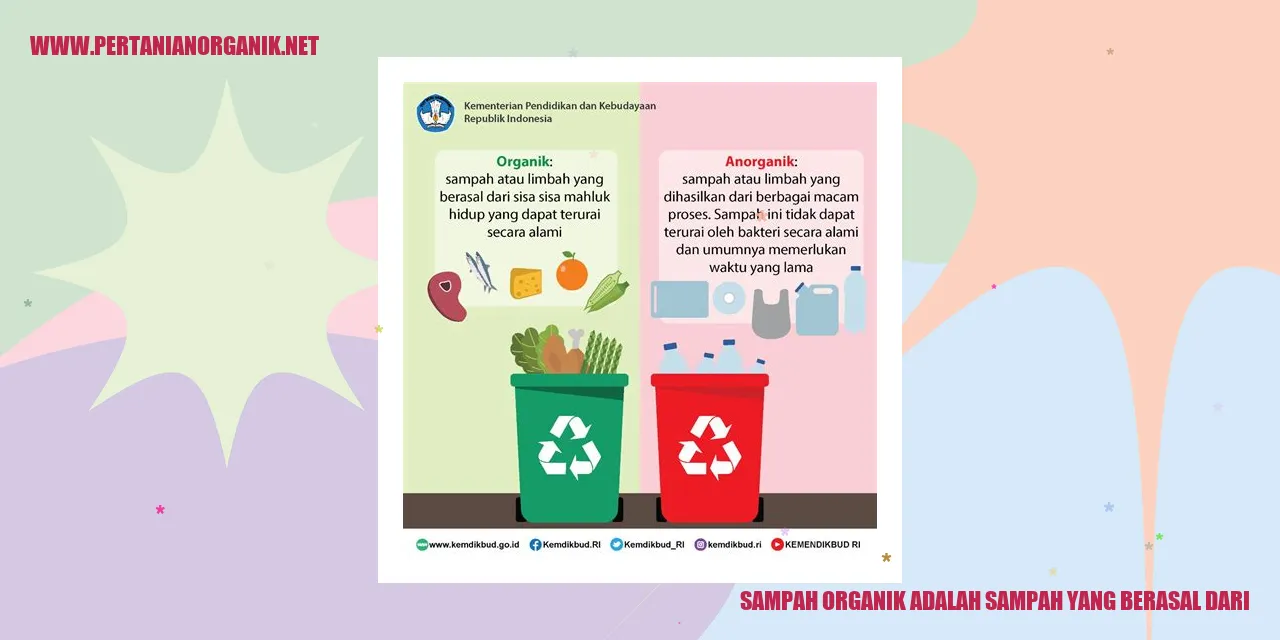 sampah organik adalah sampah yang berasal dari