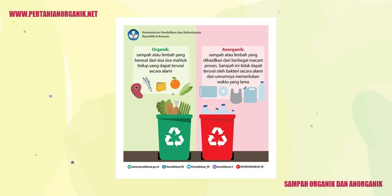 Sampah Organik dan Anorganik