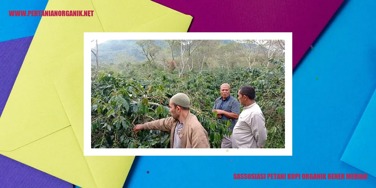 Petani kopi