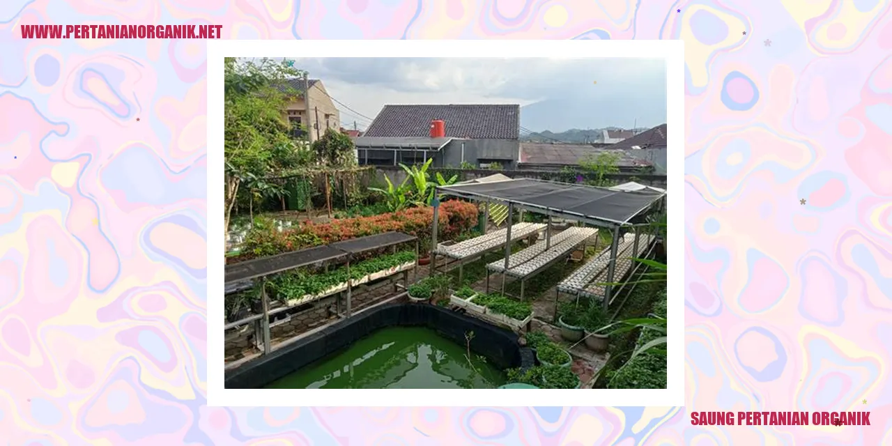 saung pertanian organik
