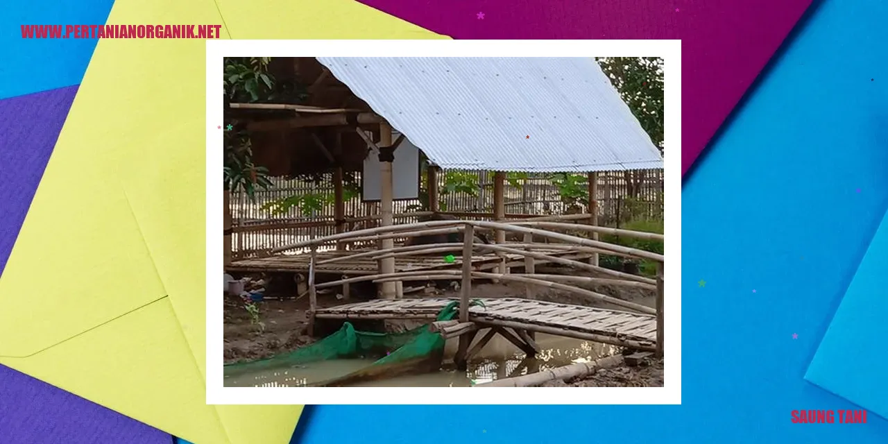 saung tani