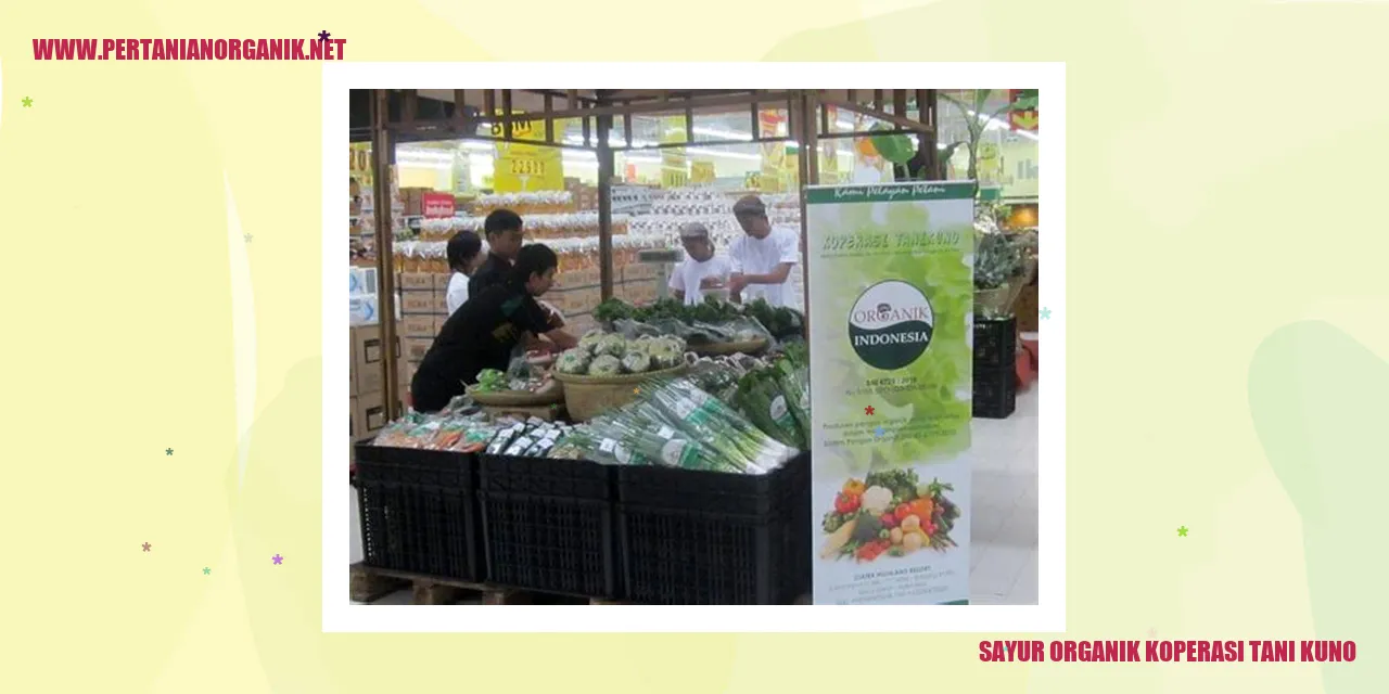 sayur organik koperasi tani kuno