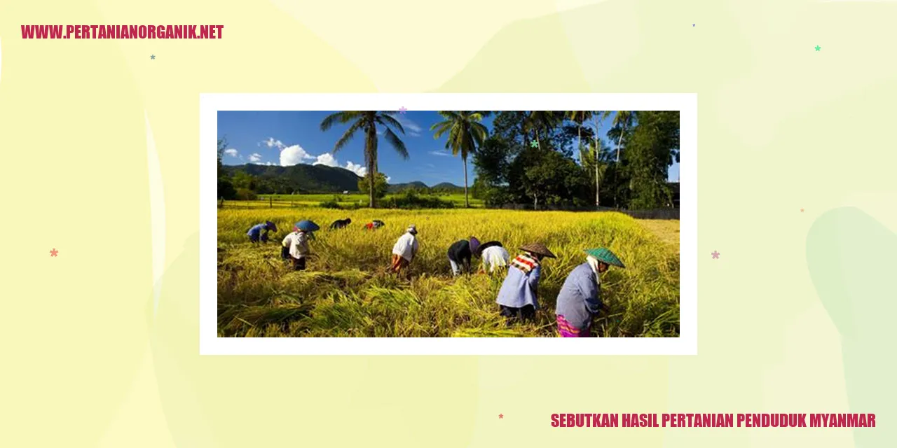 Hasil Pertanian Myanmar
