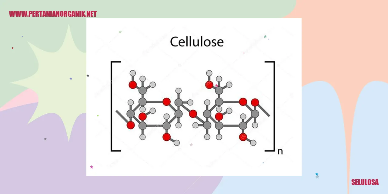 Selulosa