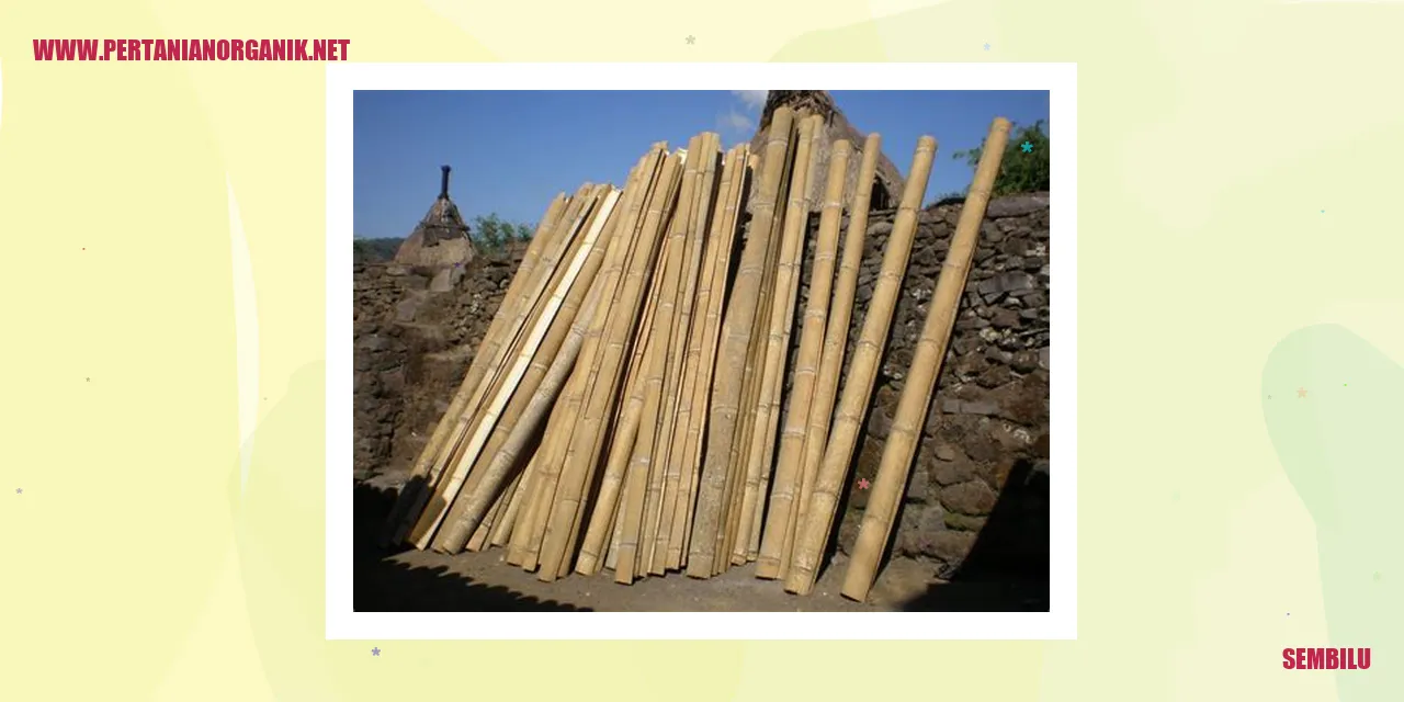 Sembilu