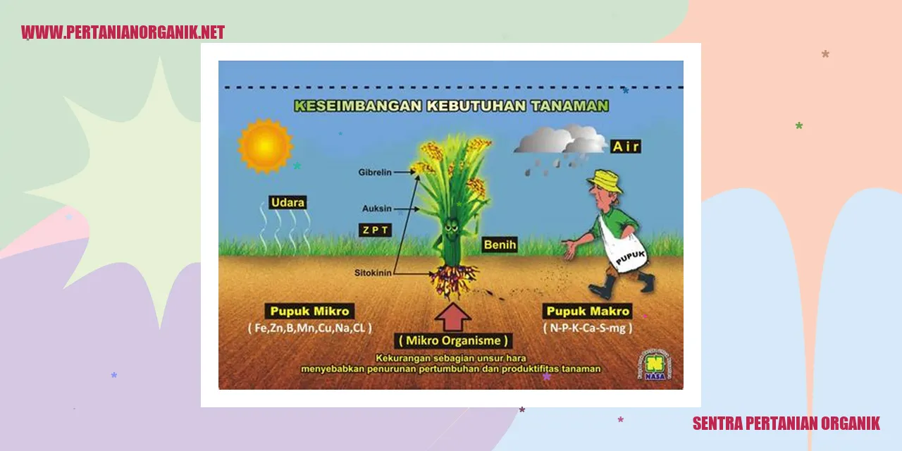 Sentra Pertanian Organik
