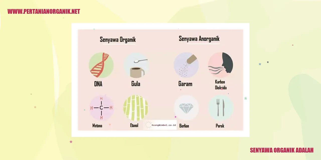senyawa organik adalah