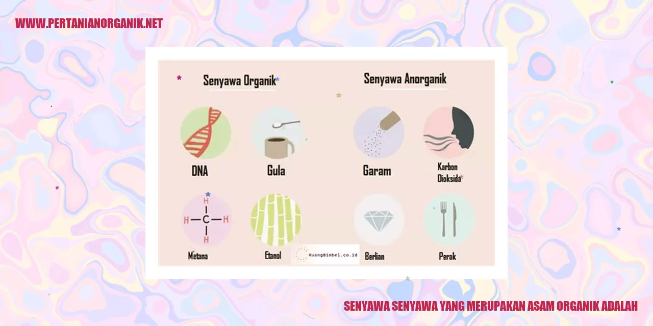 Asam Asetat