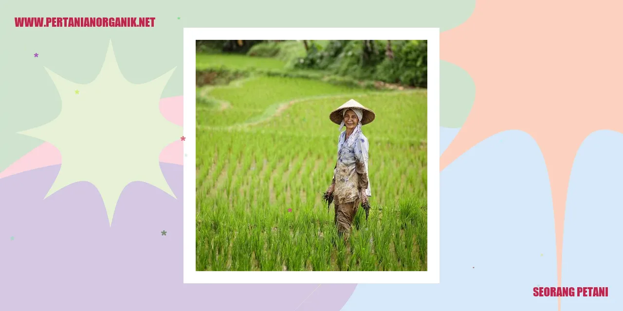 Seorang petani yang sedang bekerja di kebunnya
