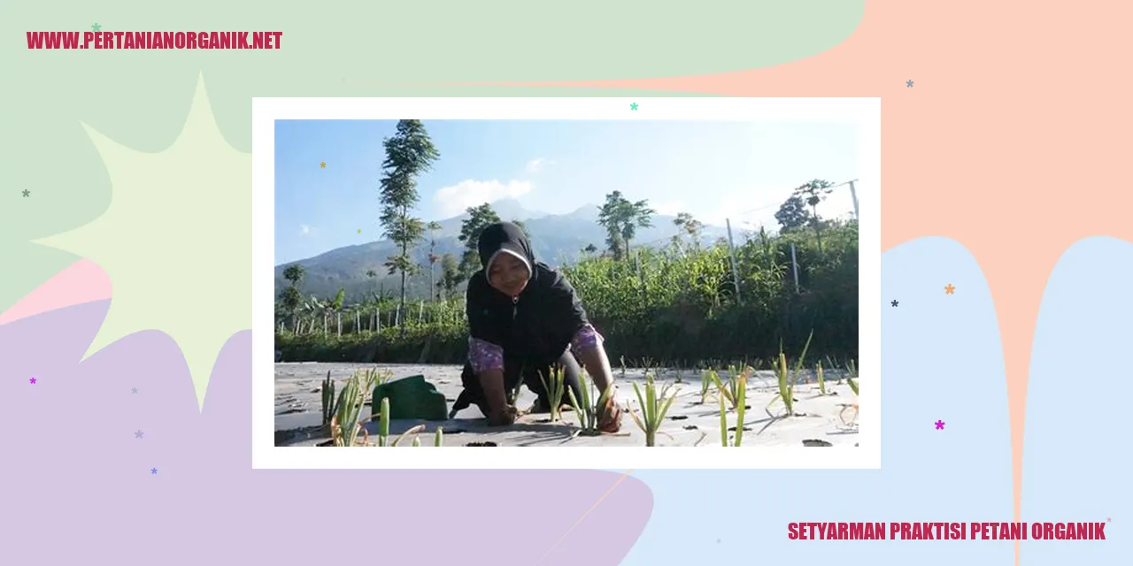 Setyarman Praktisi Petani Organik