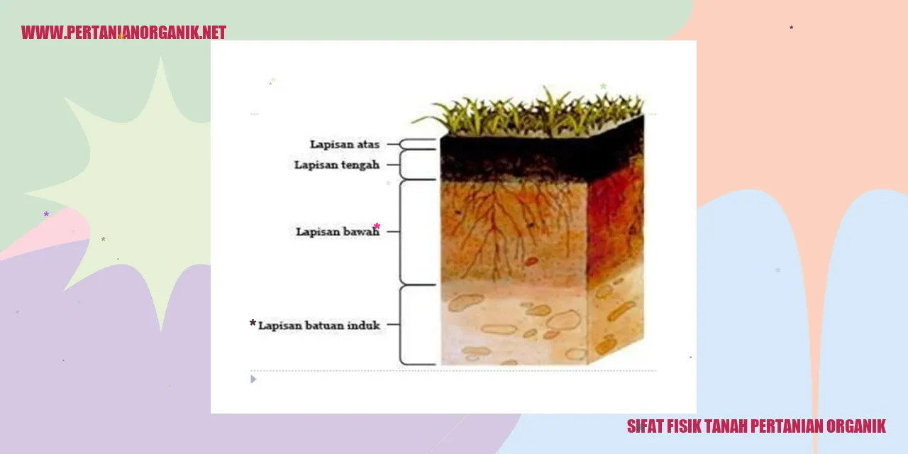 Gambar Tanah Pertanian Organik