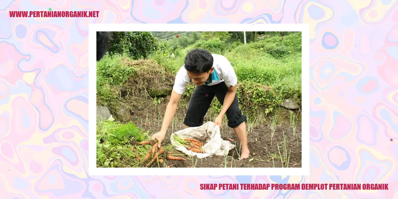 Petani sedang bekerja di ladang organik