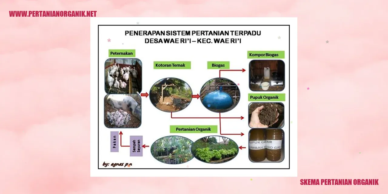 skema pertanian organik