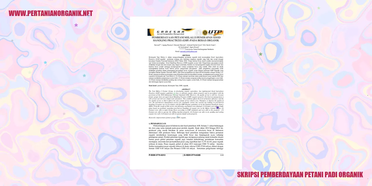 Gambar Padi Organik