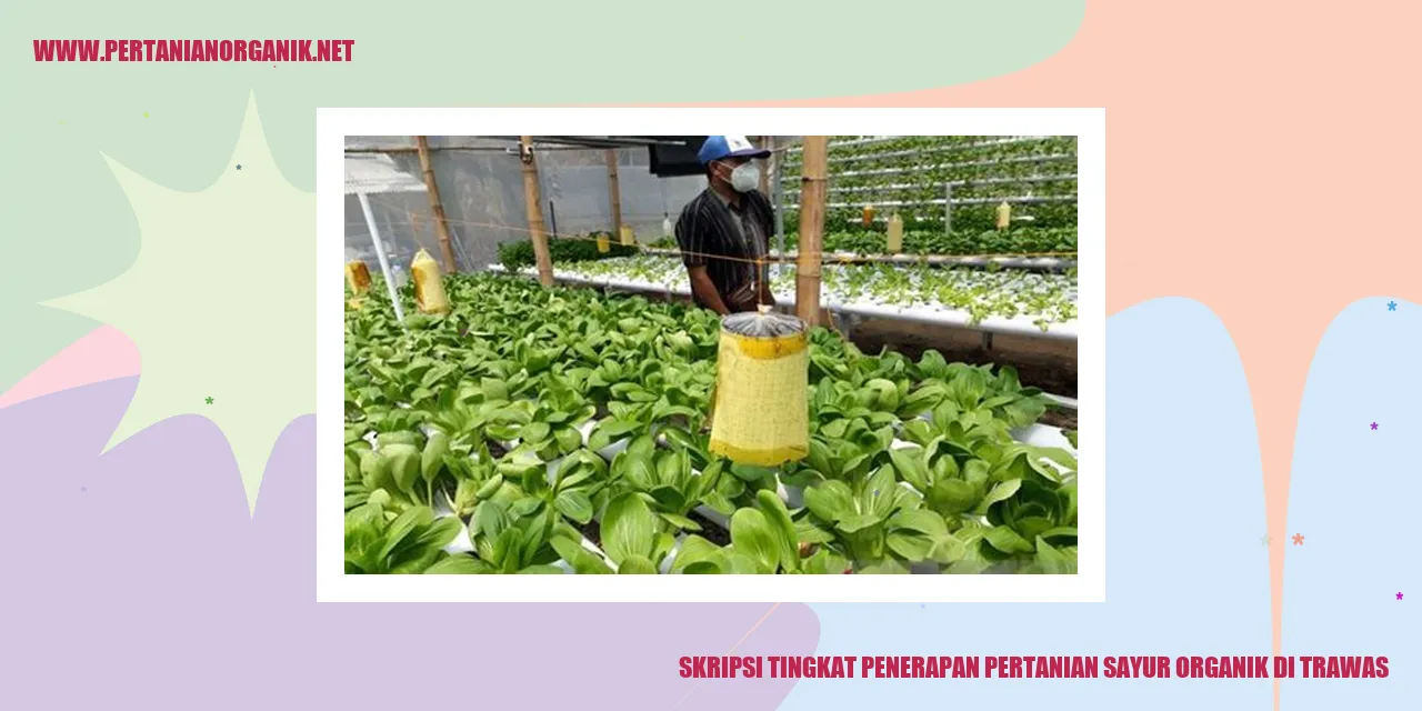 pertanian sayur organik