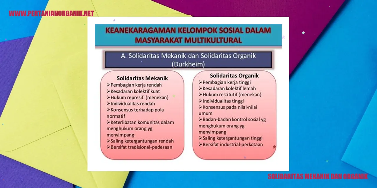 Solidaritas Mekanik dan Organik