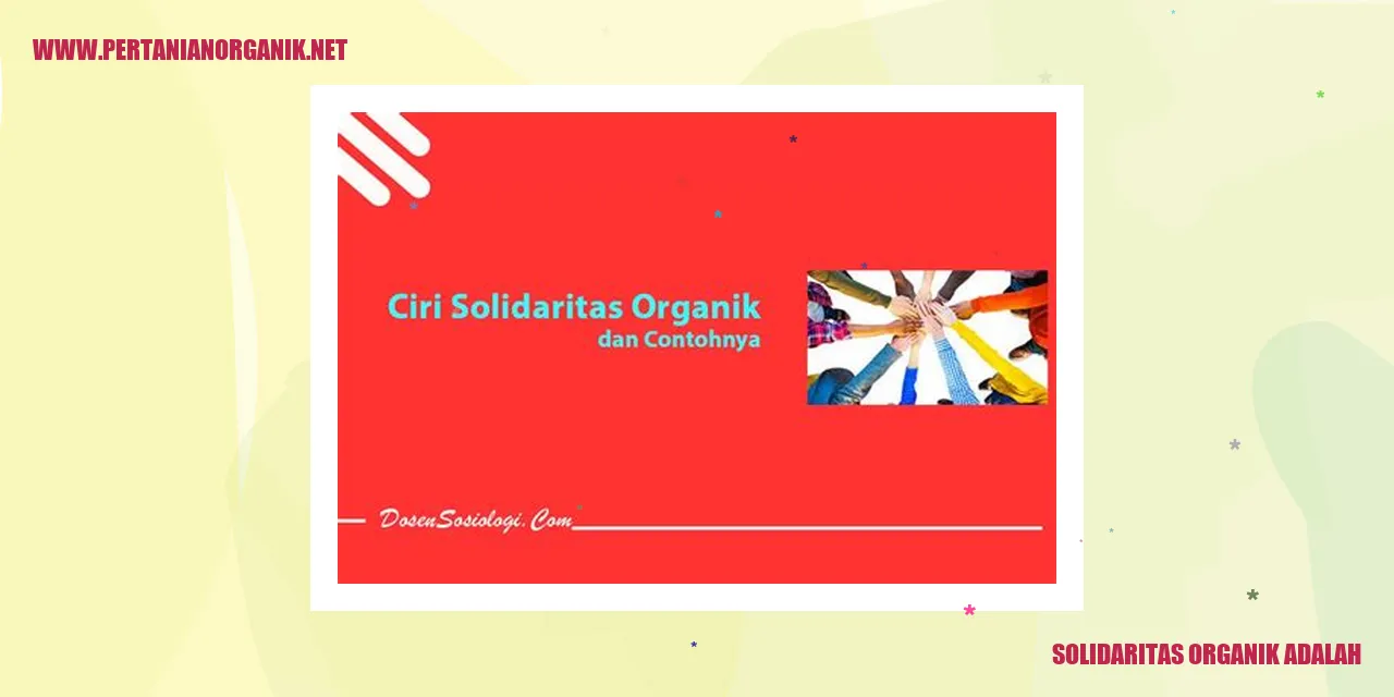 Solidaritas Organik