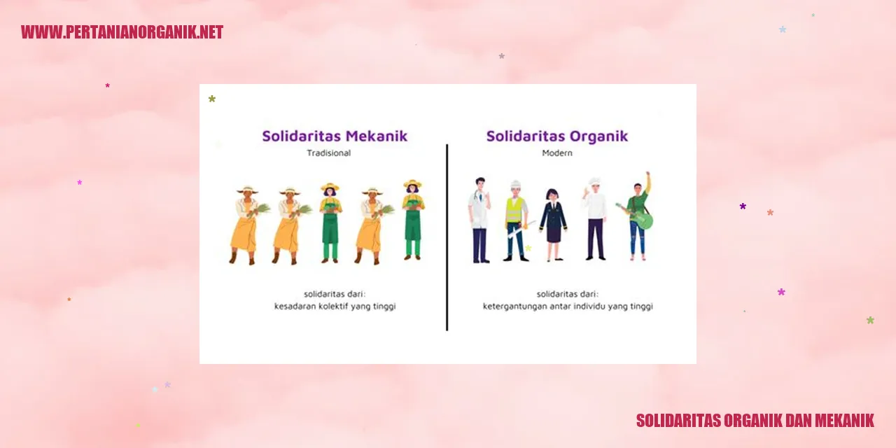 Solidaritas Organik dan Mekanik