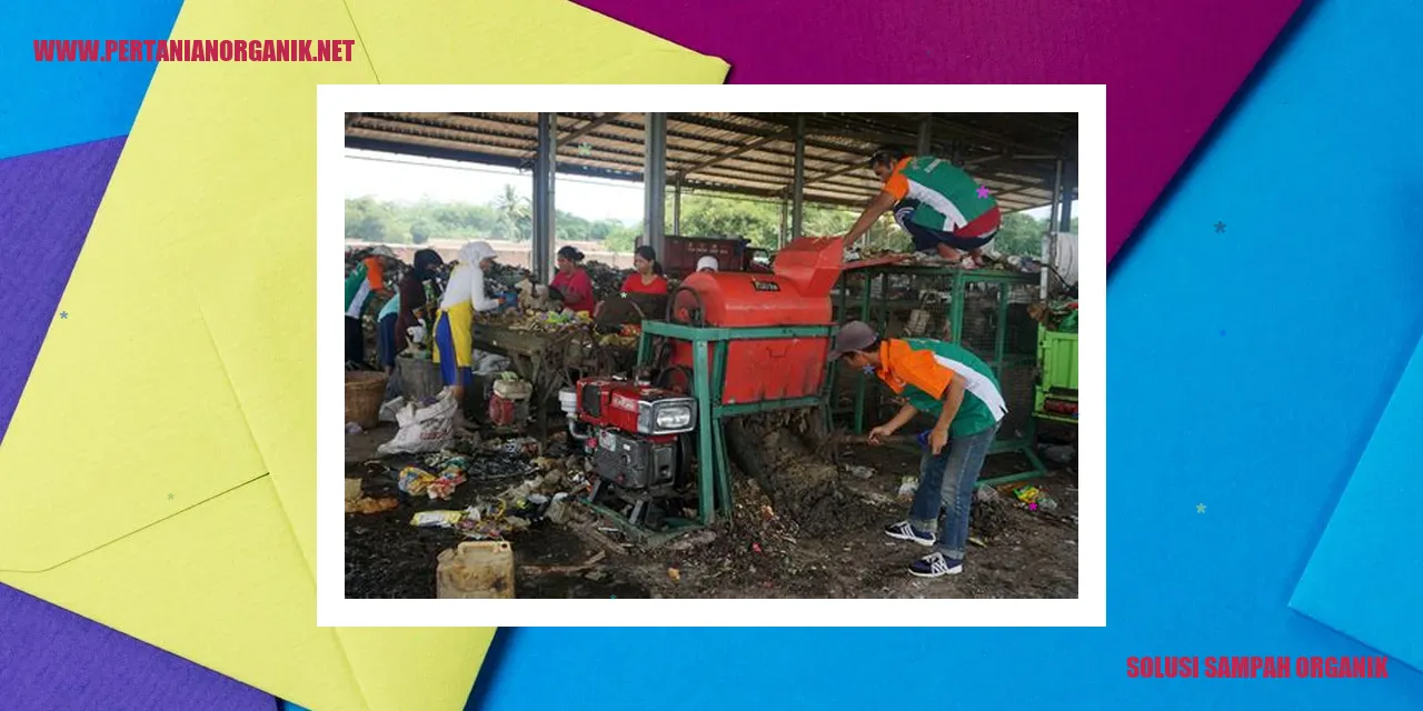solusi sampah organik
