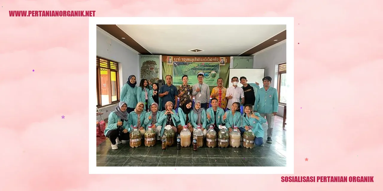 sosialisasi pertanian organik