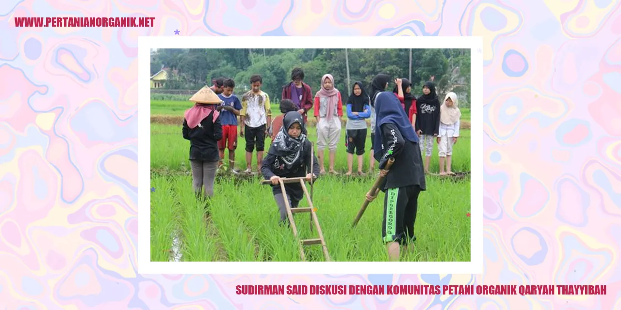 Gambar Qaryah Thayyibah