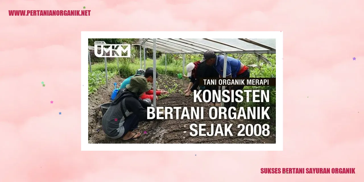 sukses bertani sayuran organik