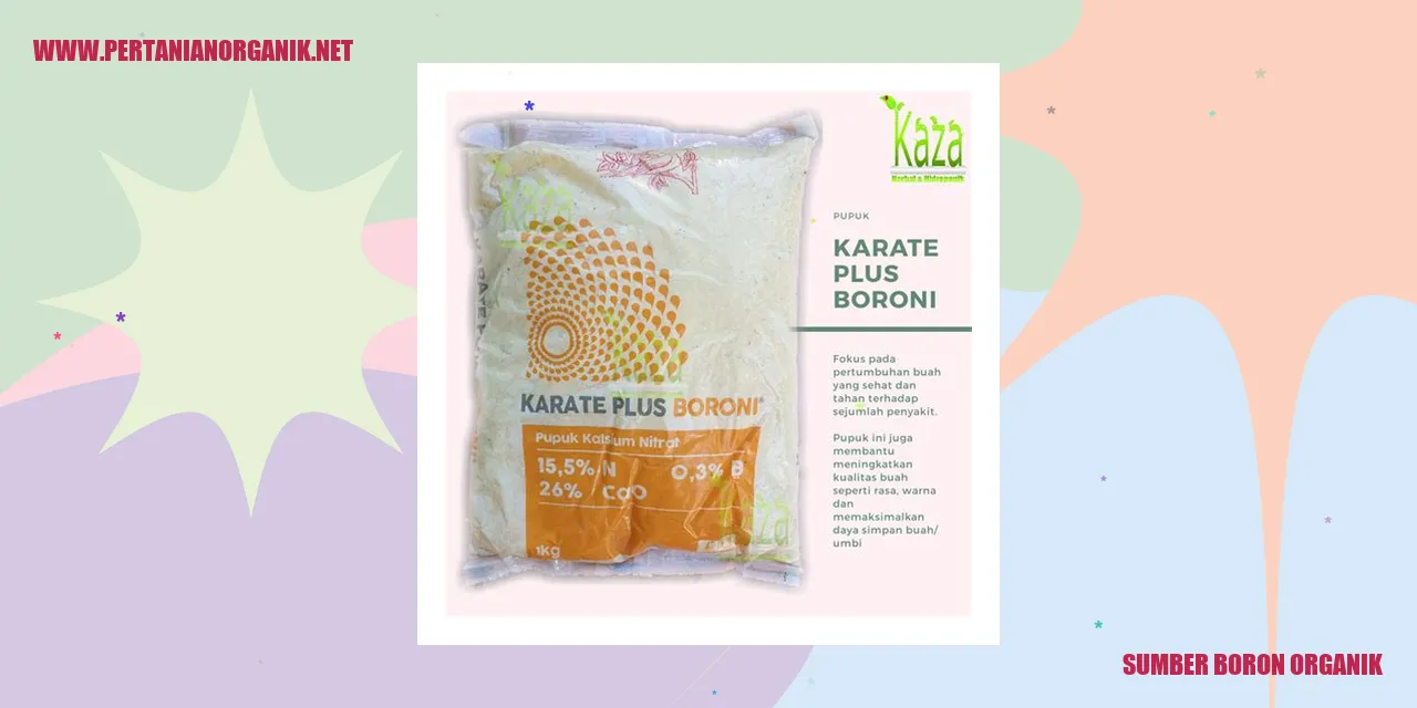 sumber boron organik