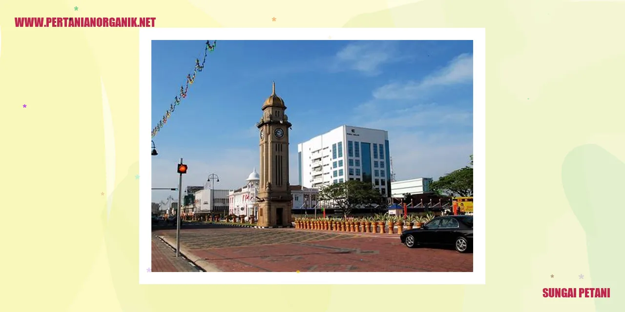 Gambar Sungai Petani