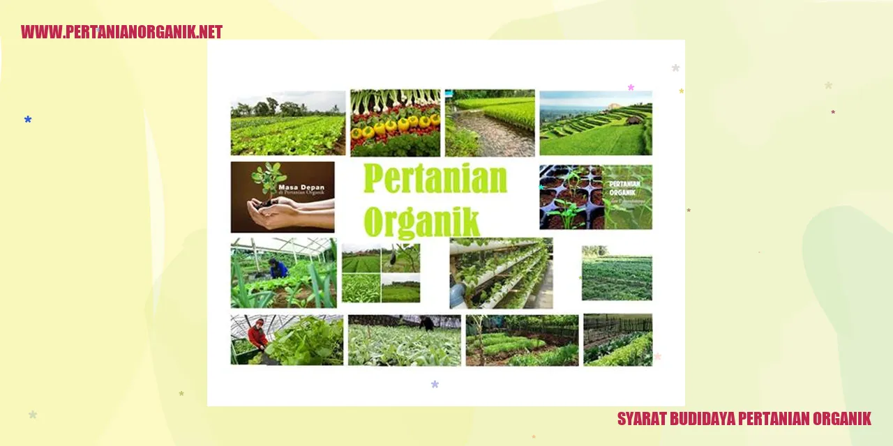 syarat budidaya pertanian organik
