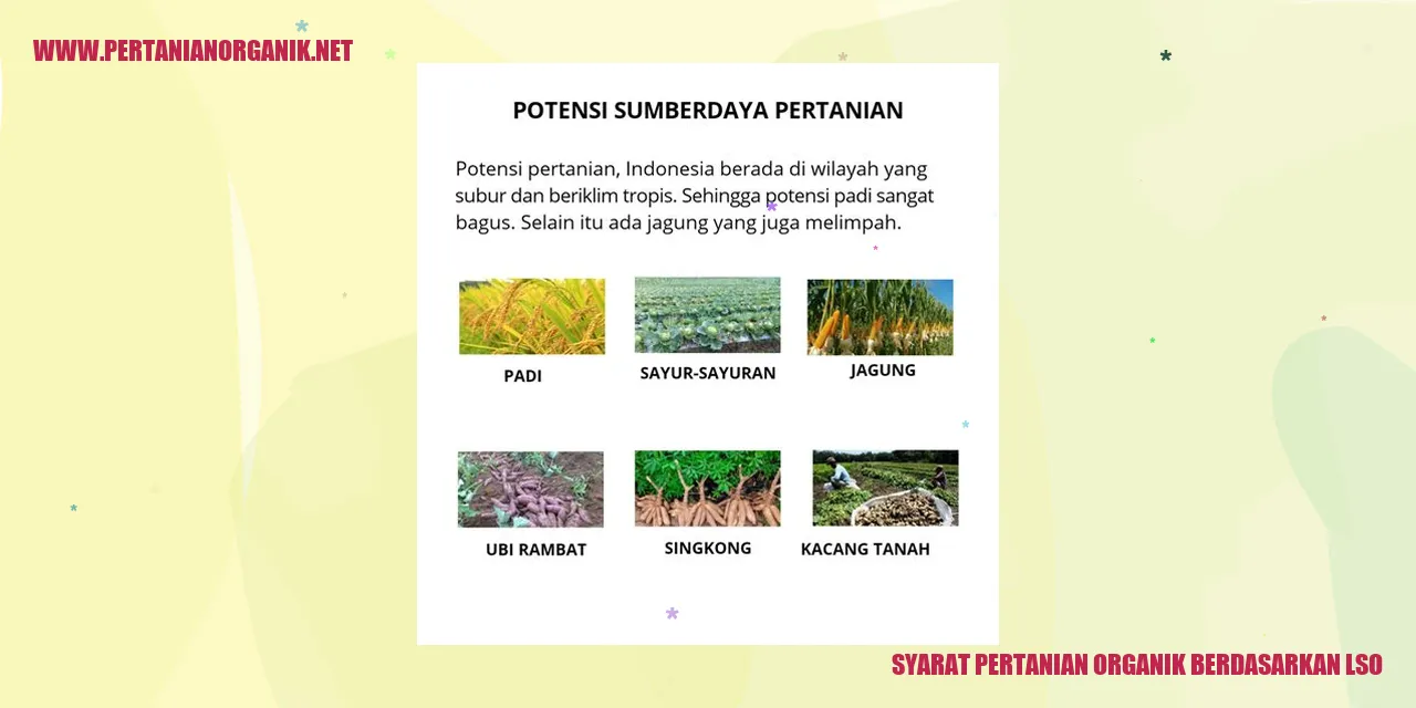 Tanah Organik