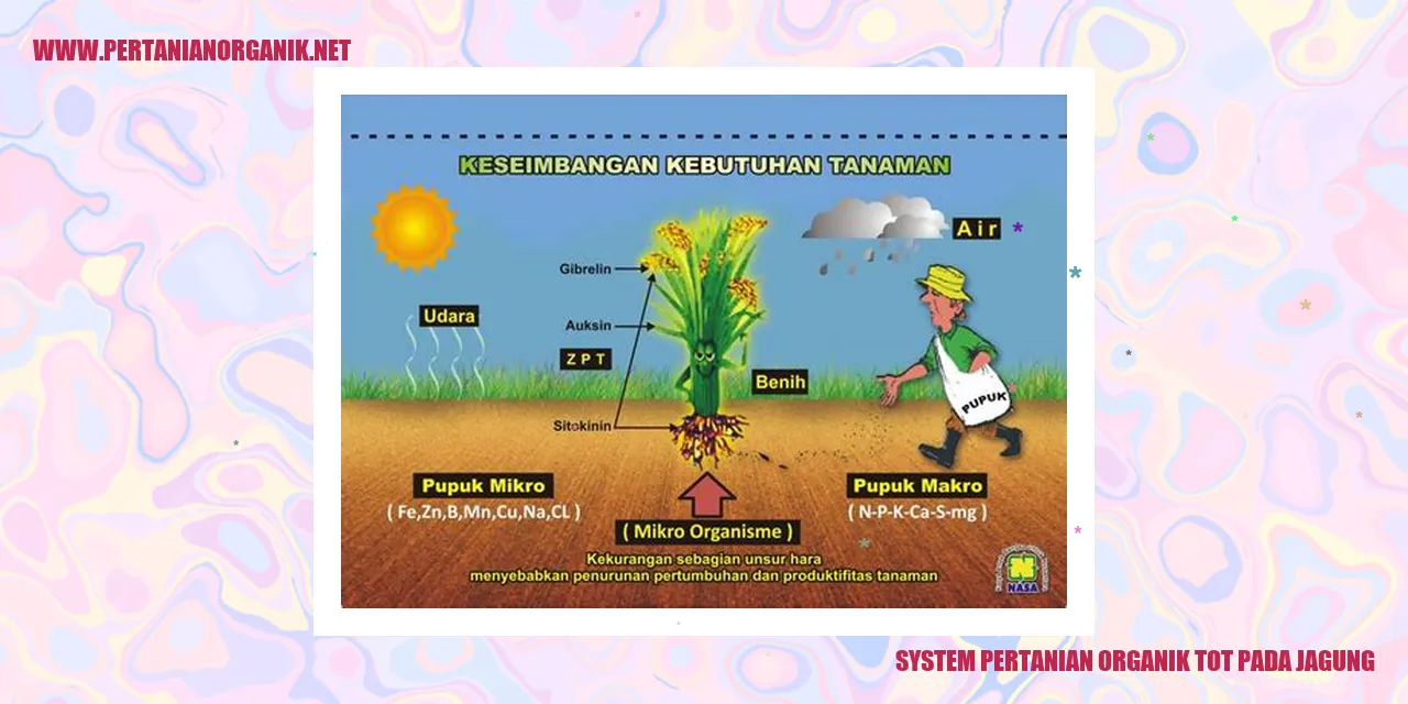 System Pertanian Organik Tot Pada Jagung