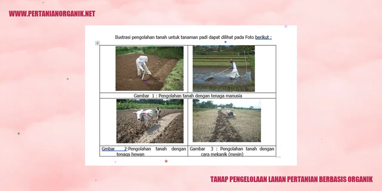 tahap persiapan lahan pertanian organik