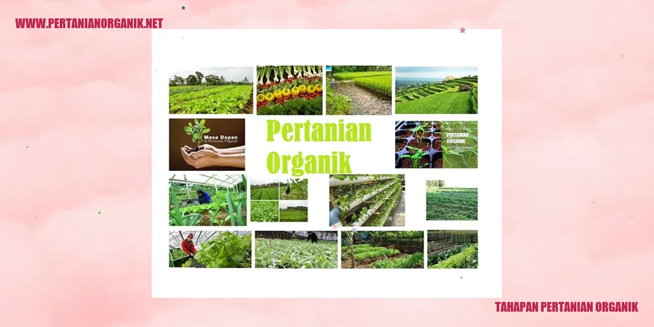 Tahap pertanian organik: persiapan tanah