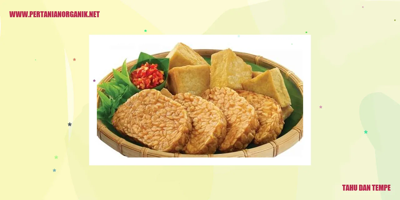 Tahu dan Tempe
