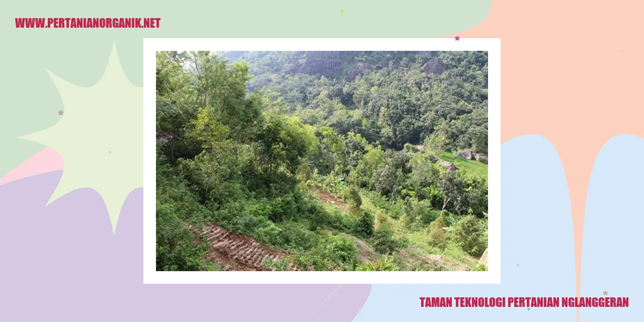 Gambar Taman Teknologi Pertanian Nglanggeran