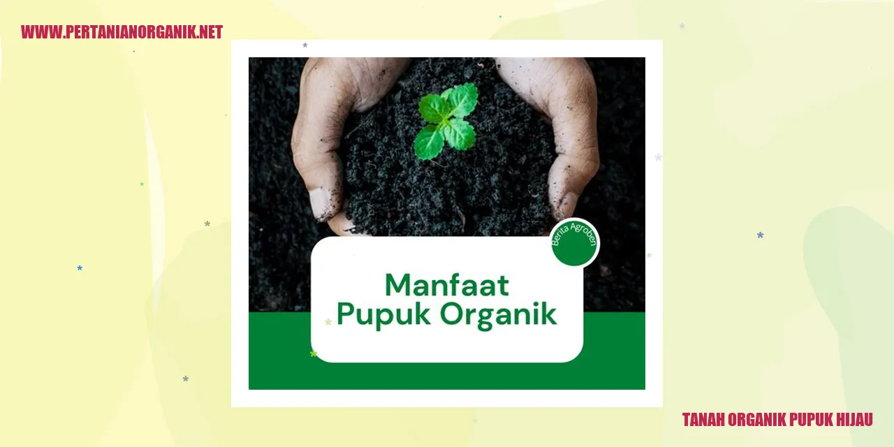 tanah organik pupuk hijau