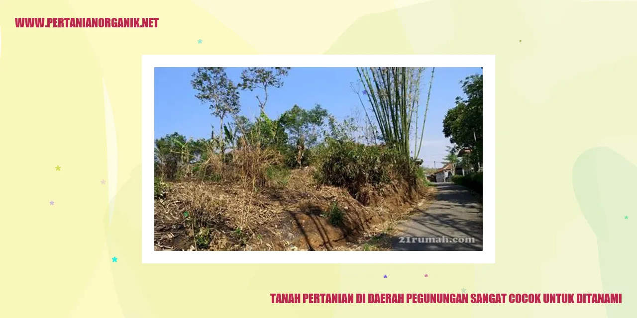 Tanah Pertanian di Daerah Pegunungan