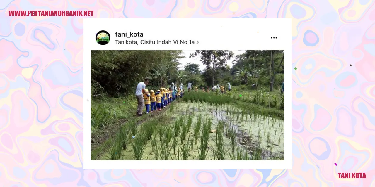 Gambar Tani Kota