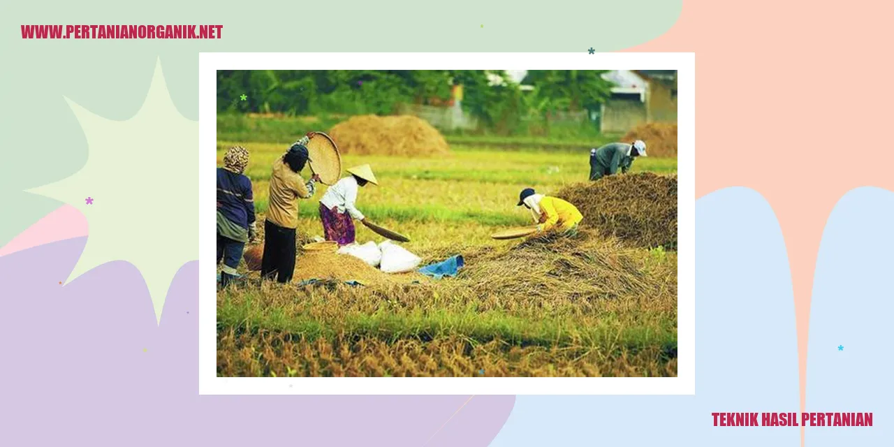Teknik Pembibitan yang Efektif