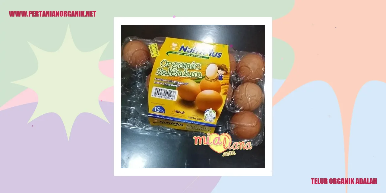 telur organik