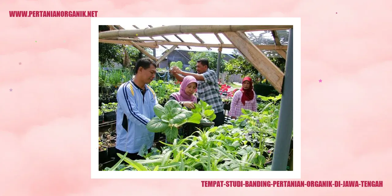 Tempat Studi Banding Pertanian Organik di Jawa Tengah