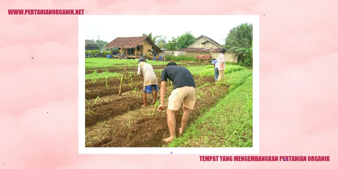 tempat yang mengembangkan pertanian organik