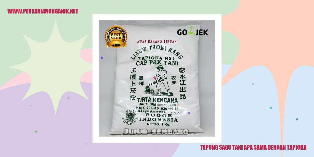 Tepung Sagu Tani Apa Sama dengan Tapioka