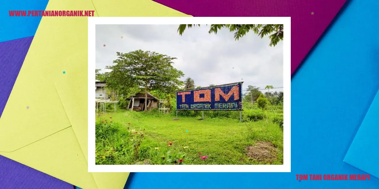 Tom Tani Organik Merapi