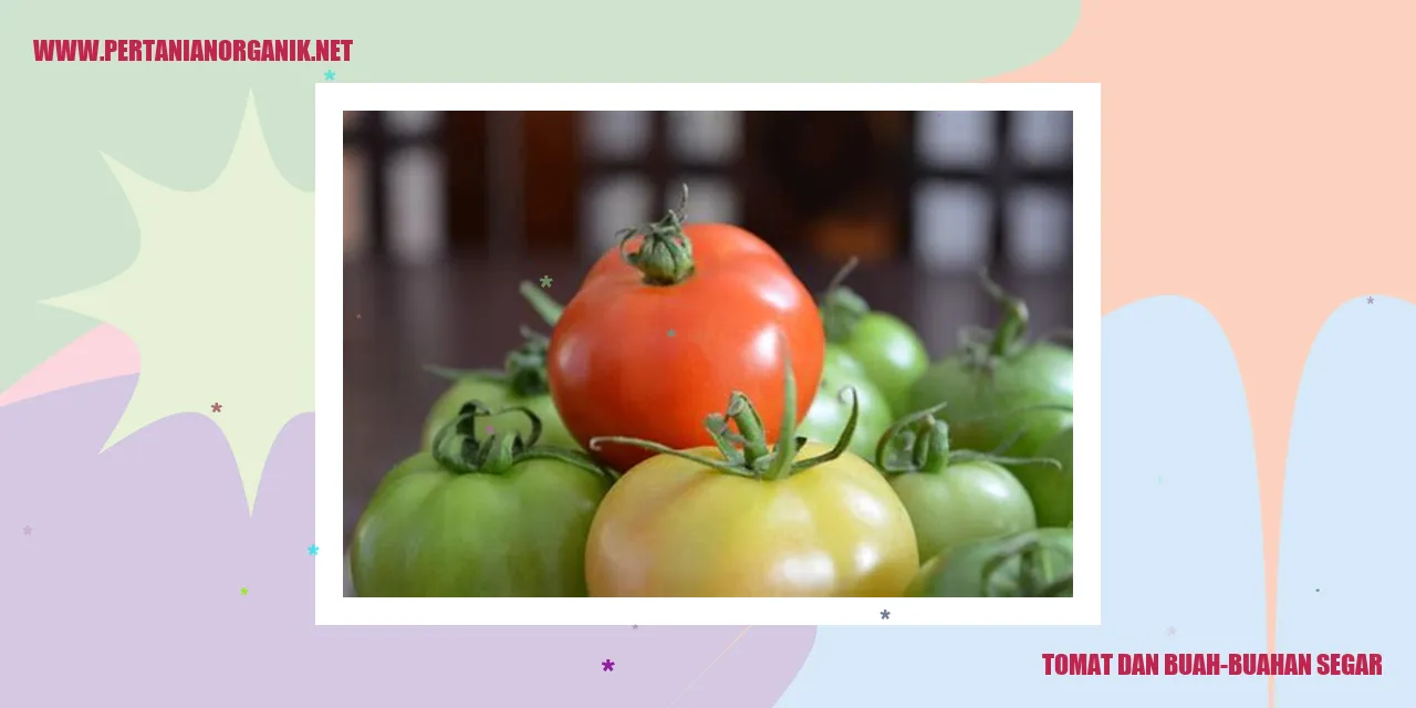 Tomat dan Buah-buahan Segar
