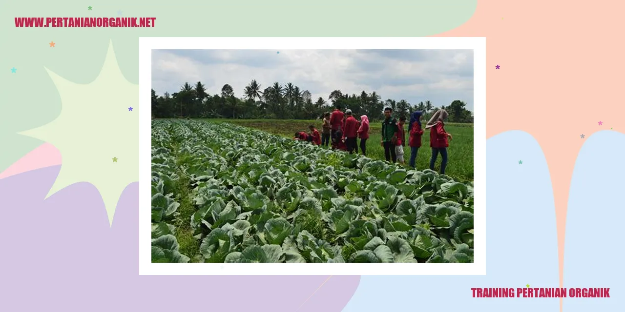 gambar pemupukan tanah organik