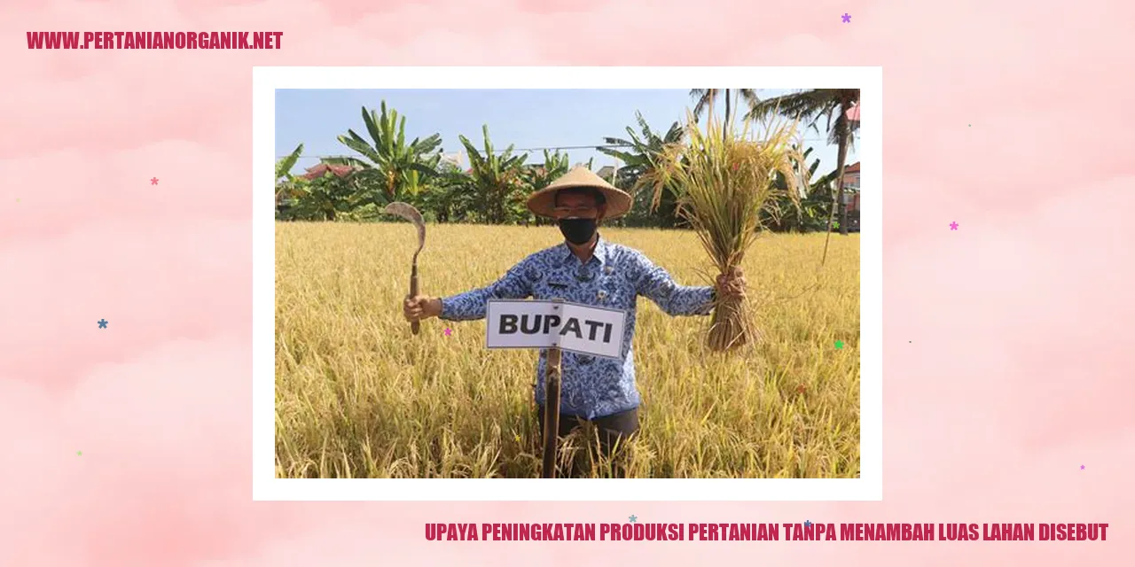 upaya peningkatan produksi pertanian tanpa menambah luas lahan disebut