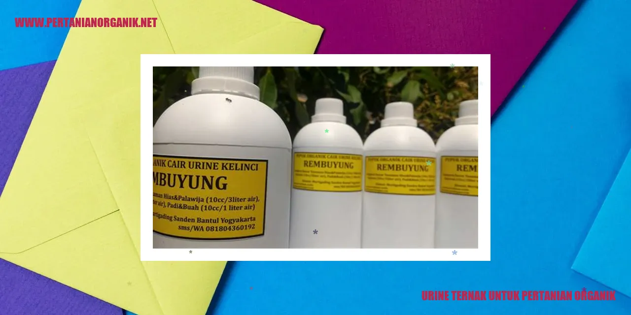 urine ternak untuk pertanian organik
