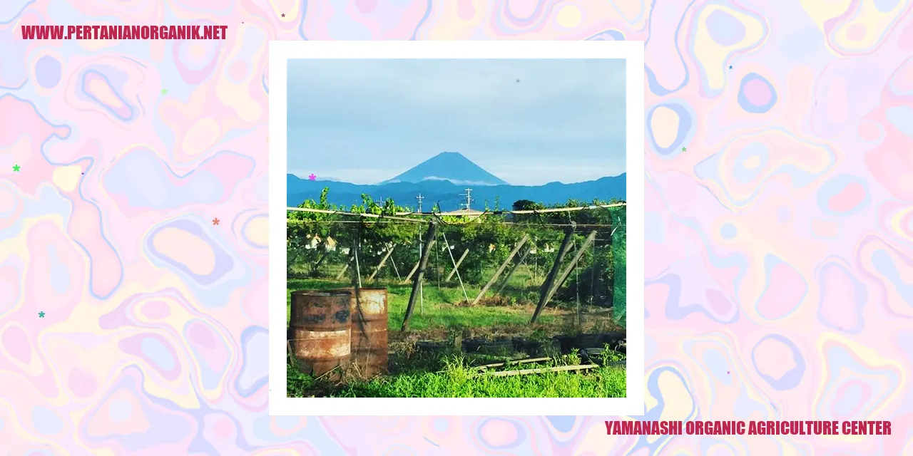 Yamanashi Organic Agriculture Center