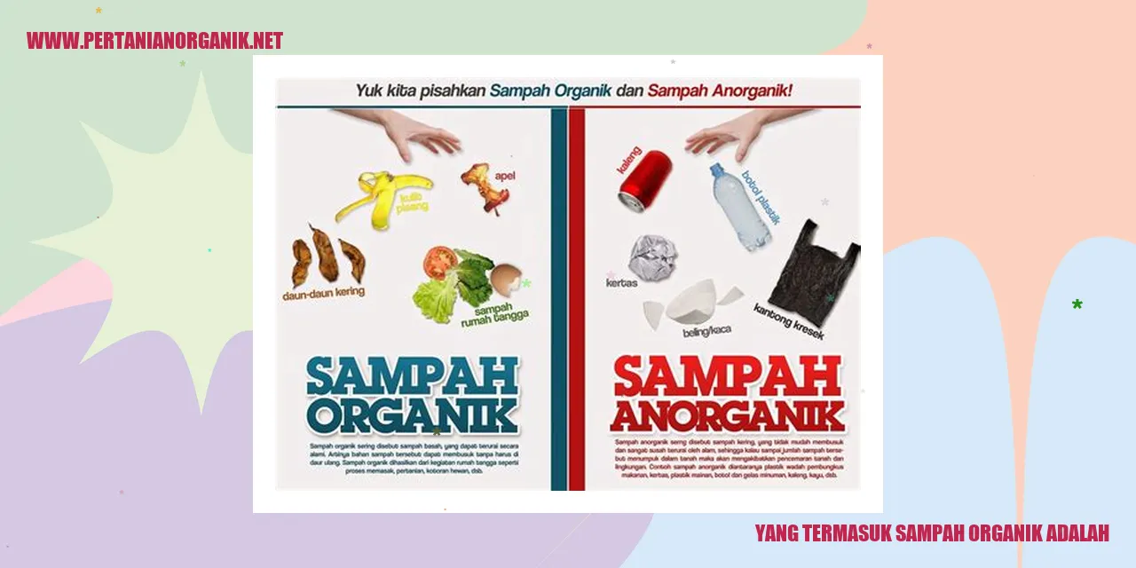 Sampah Organik